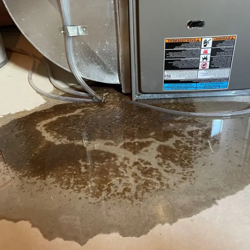 Pipe Burst and Leak Restoration in Westwood, NJ